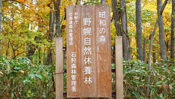 野幌森林公園、紅葉