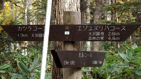 野幌森林公園、紅葉