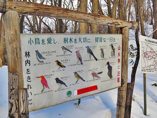円山登山道、円山で見れる野鳥の案内板