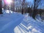 雪の旭山記念公園