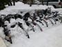 札幌市内、雪に埋もれる自転車