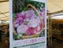 花フェスタ札幌、花市場