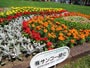 花フェスタ札幌、ディスプレイ花壇