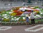 NHK、花時計花壇