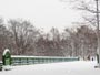 雪の真駒内公園、緑橋