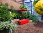 百合が原公園温室、赤い傘のベンチ