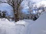 中島公園、雪道