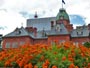 赤れんが庁舎と花壇