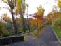 旭山記念公園、紅葉
