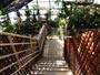 豊平公園温室階段