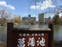 中島公園、菖蒲池