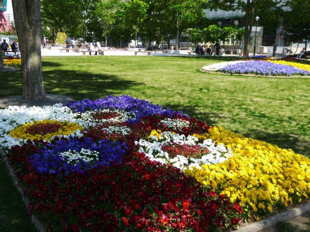 大通公園と花