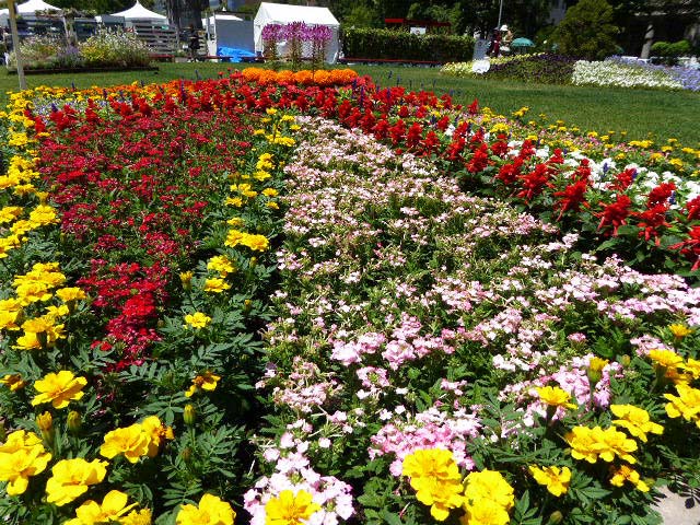 花フェスタ札幌、花壇