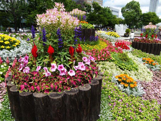 花フェスタ札幌、花壇