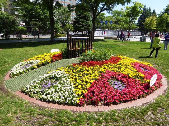 大通公園に咲く花