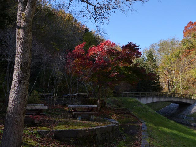 滝野すずらん公園渓流口紅葉