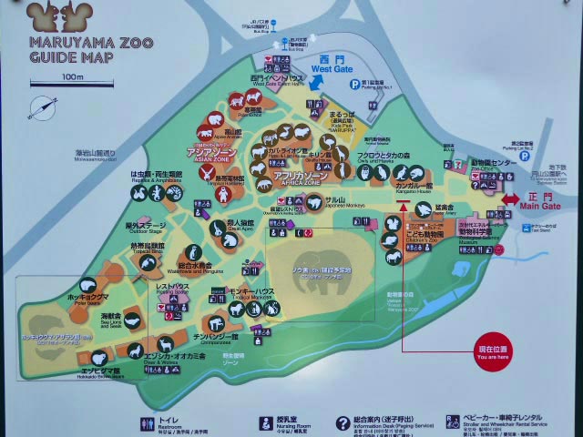 札幌市円山動物園、動物紹介