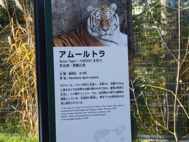 札幌市円山動物園、動物紹介