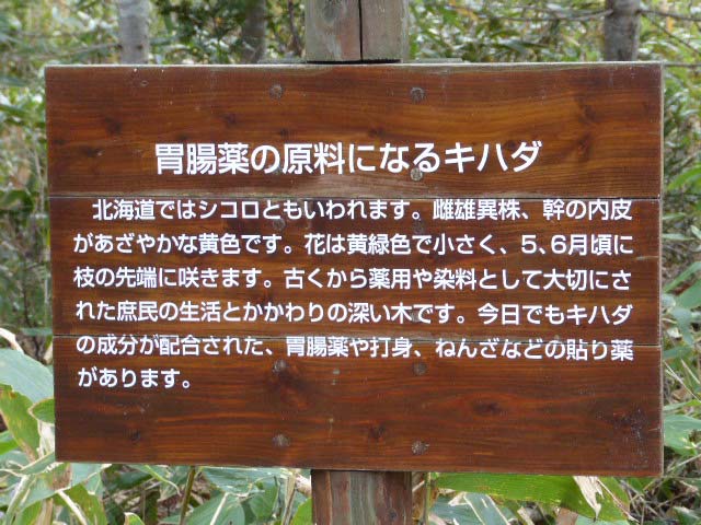 野幌森林公園