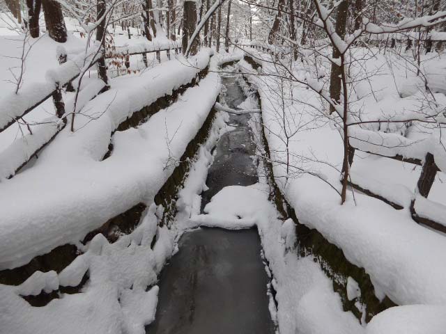 札幌雪景色