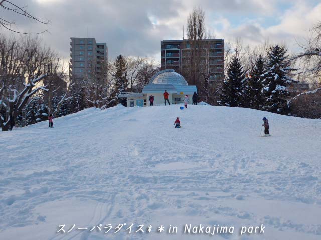 中島公園、雪