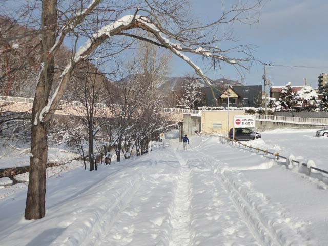 真駒内公園、雪