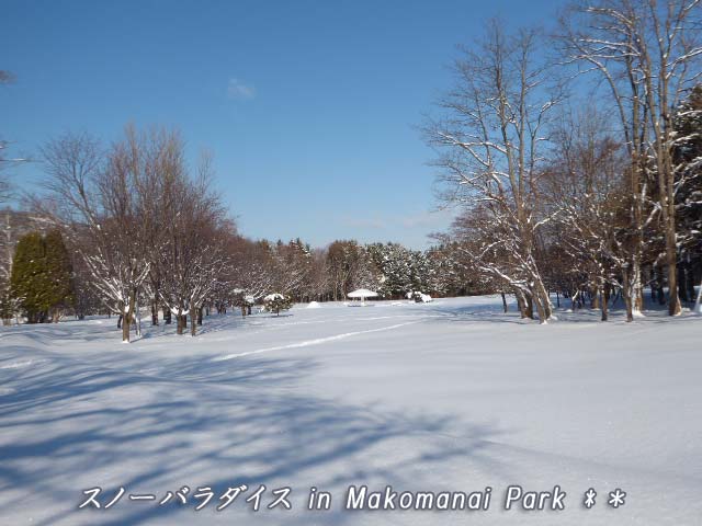 真駒内公園、雪