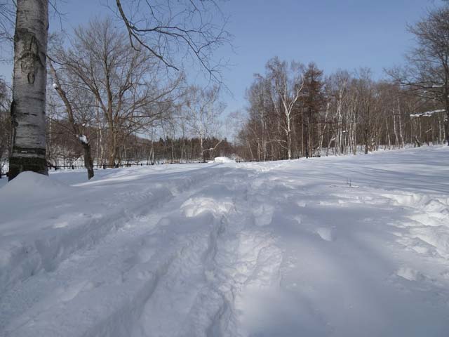 西岡公園、雪