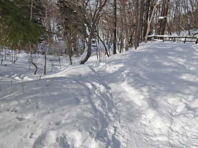 西岡公園、雪
