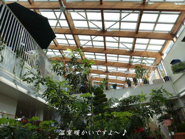 豊平公園 緑のセンター
