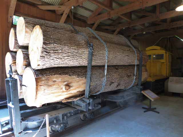 .森林鉄道機関庫、大木を運んでいます。