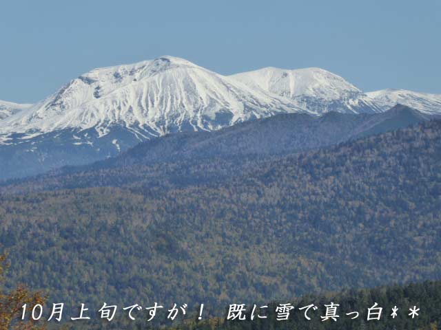 十勝岳望岳台と登山道、雪の十勝岳