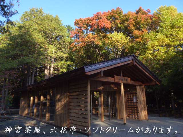 円山と紅葉
