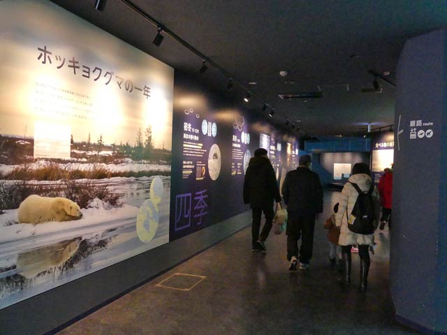 札幌円山動物園