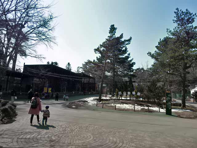 円山動物園、園内へ
