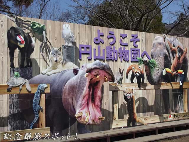 円山動物園のリアル写真ボード(ようこそ円山動物園へ)、記念撮影にピッタリ！！