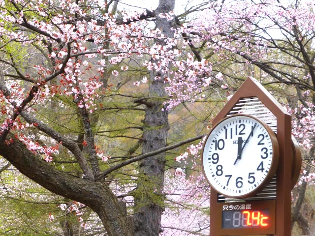 円山公園、時計台