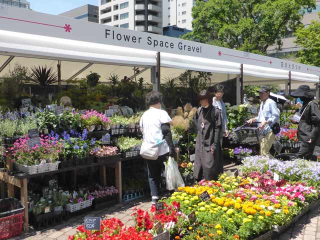 Flower space gravel