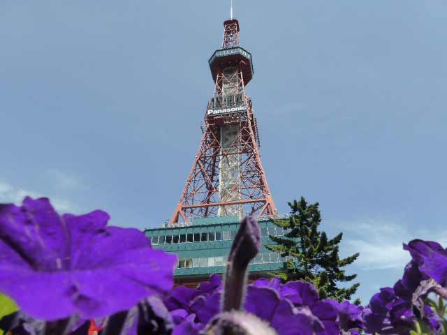 花壇と札幌テレビ塔
