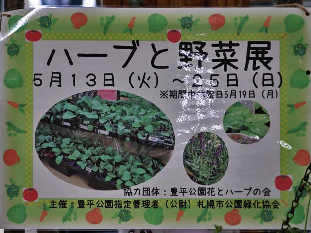 豊平公園 ハーブと野菜展