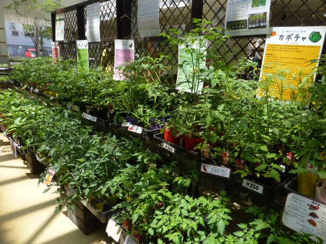 ハーブと野菜の展示販売