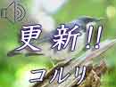 コルリ