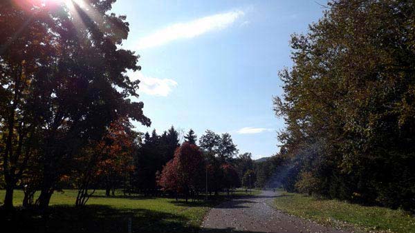 真駒内公園、紅葉