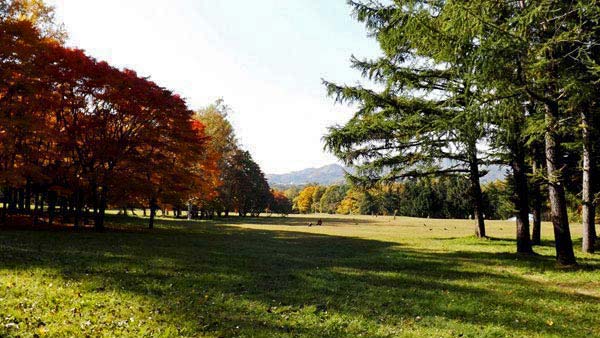 真駒内公園、紅葉