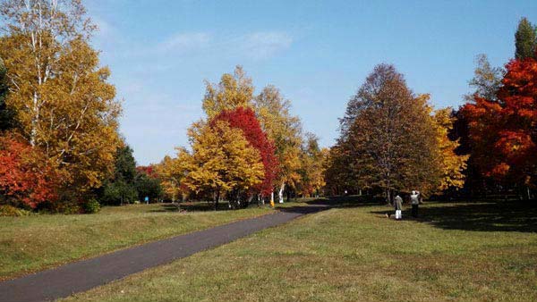 真駒内公園、紅葉