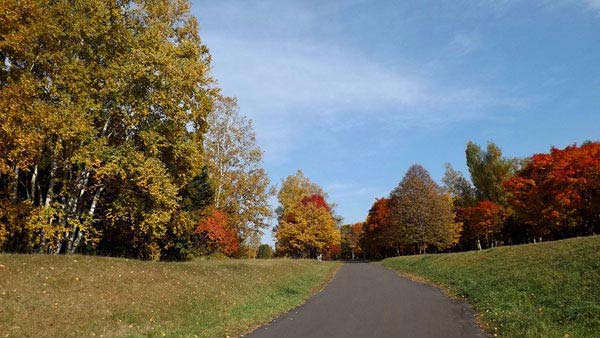 真駒内公園、紅葉