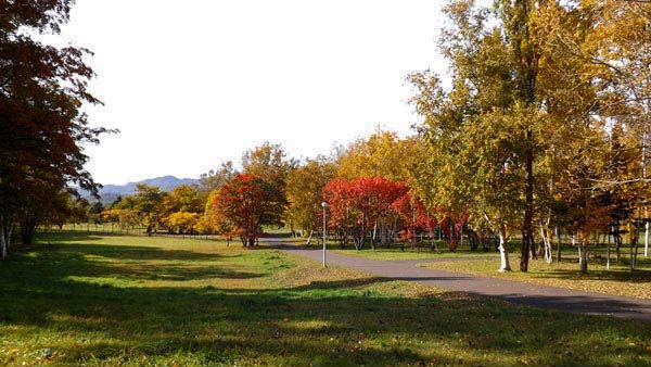 真駒内公園、紅葉