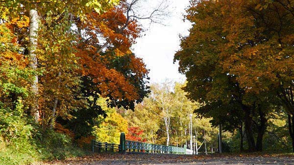 真駒内公園、紅葉