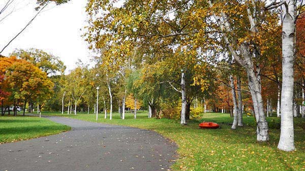 真駒内公園、紅葉