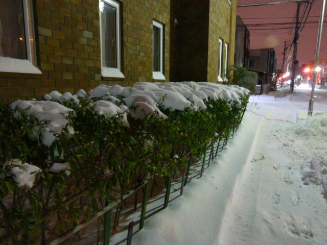 札幌、雪